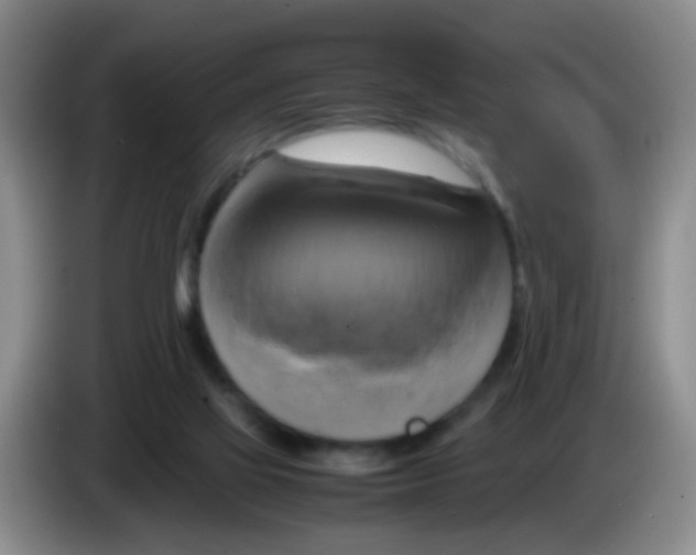 X0000083560069200703091625