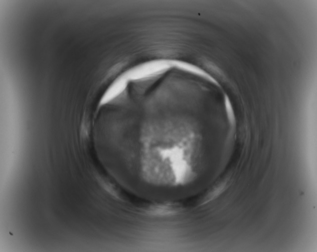 X0000083560072200703091625