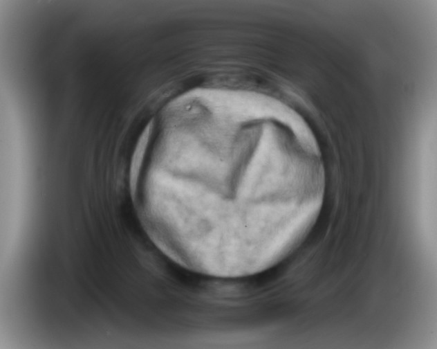 X0000083560073200703091625