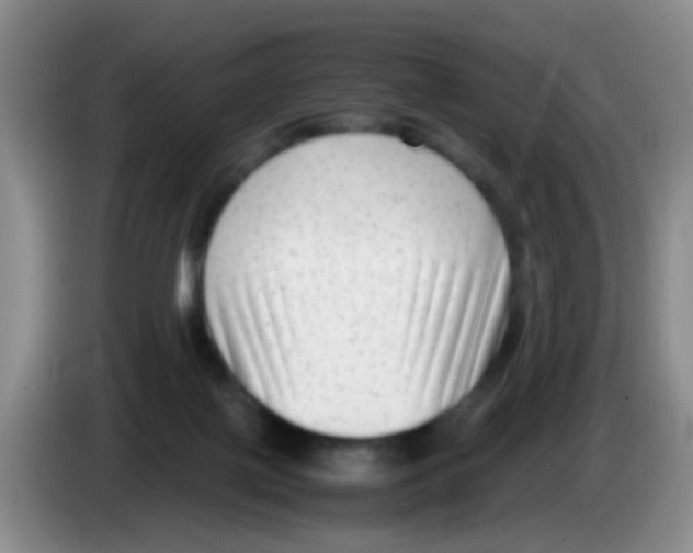 X0000083560075200703091625