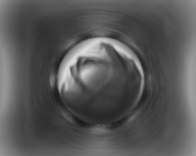 X0000083560076200703091625