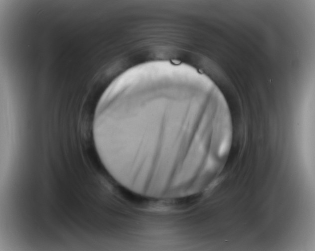 X0000083560078200703091625