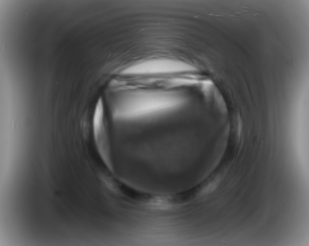 X0000083560080200703091625