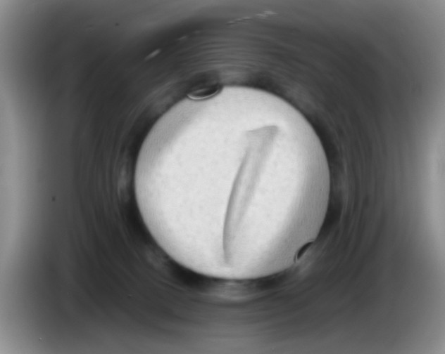 X0000083560082200703091625