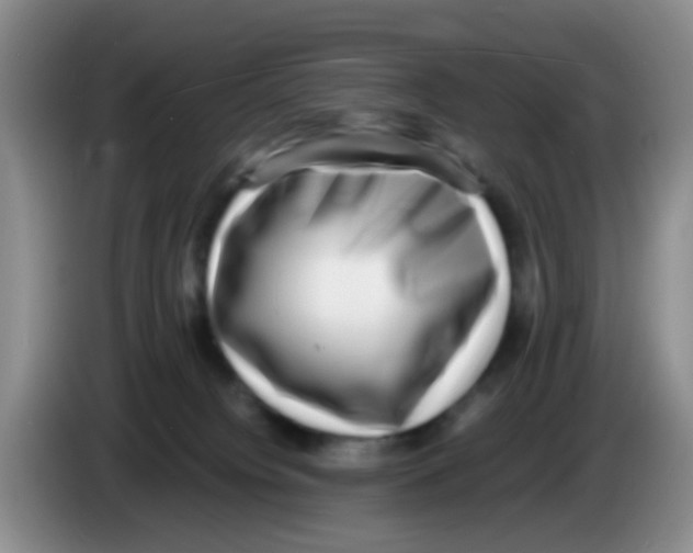 X0000083560084200703091625