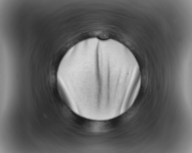 X0000083560085200703091625