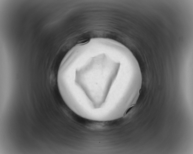 X0000083560086200703091625