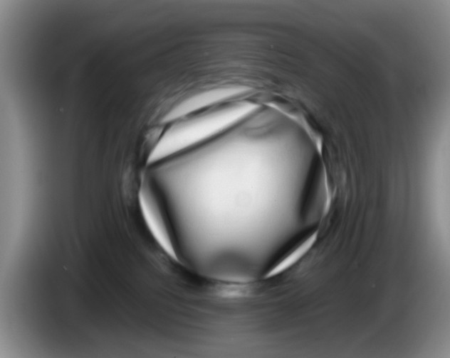 X0000083560088200703091625