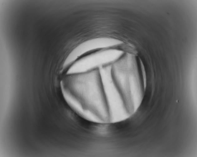 X0000083560090200703091625