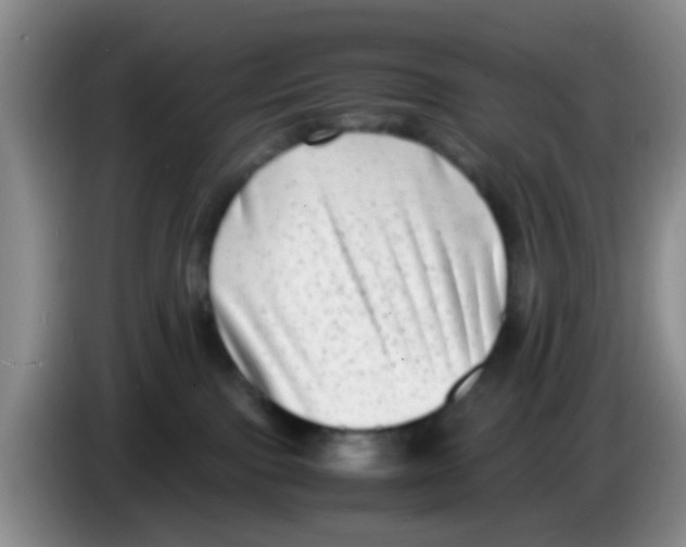 X0000083560091200703091625