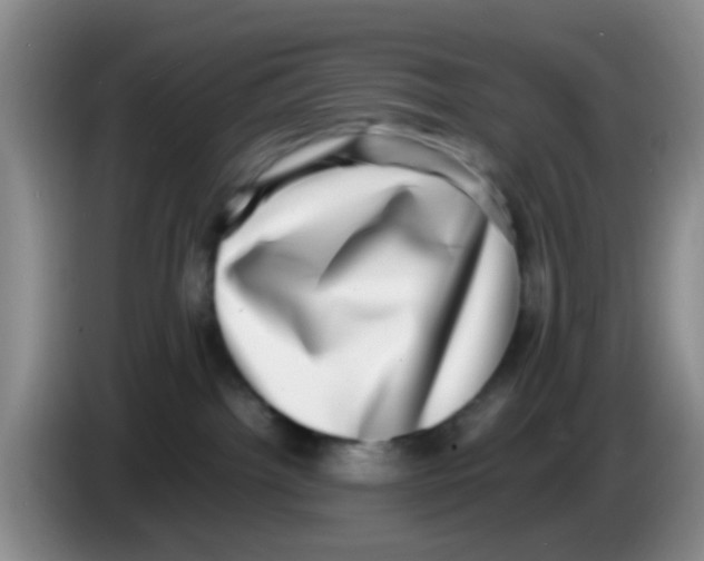 X0000083560092200703091625