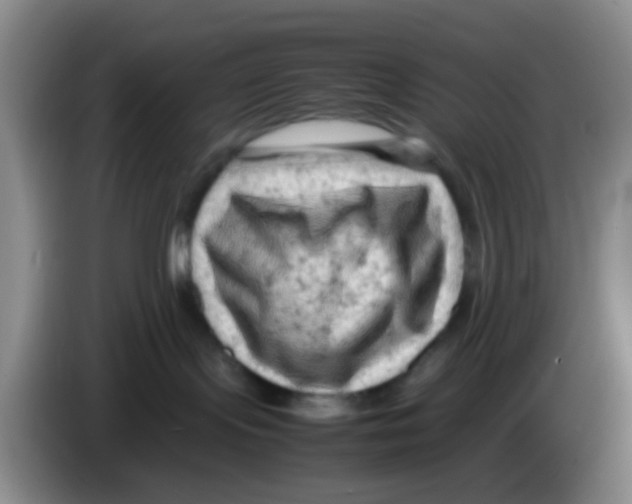 X0000083560095200703091625