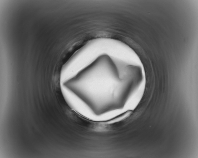 X0000083560096200703091625