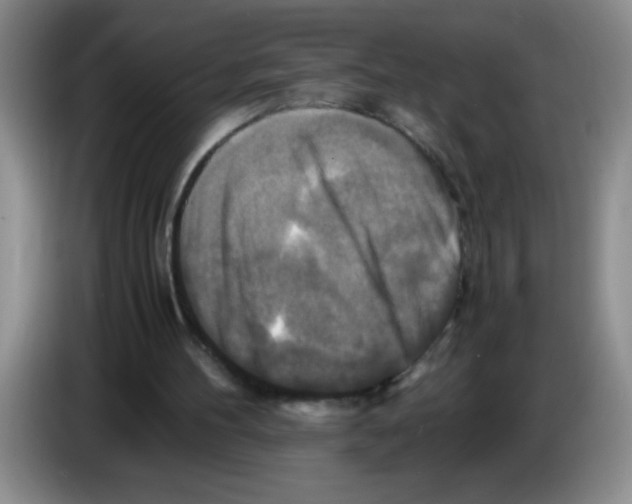 X0000083560100200703091625