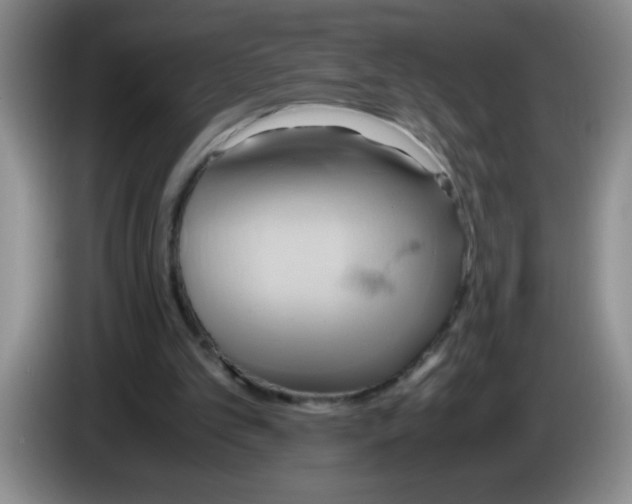 X0000083560101200703091625