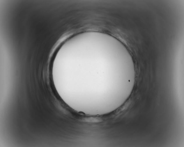 X0000083560102200703091625