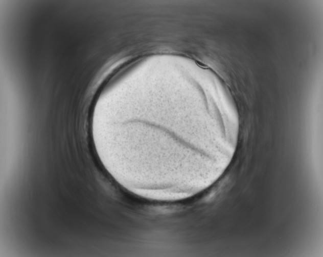 X0000083560103200703091625