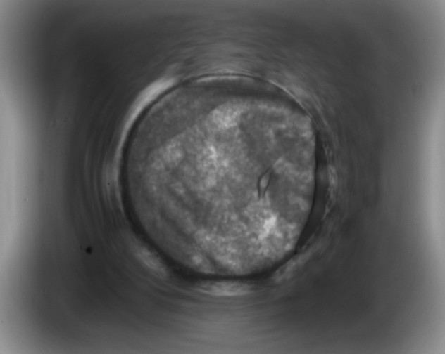 X0000083560104200703091625