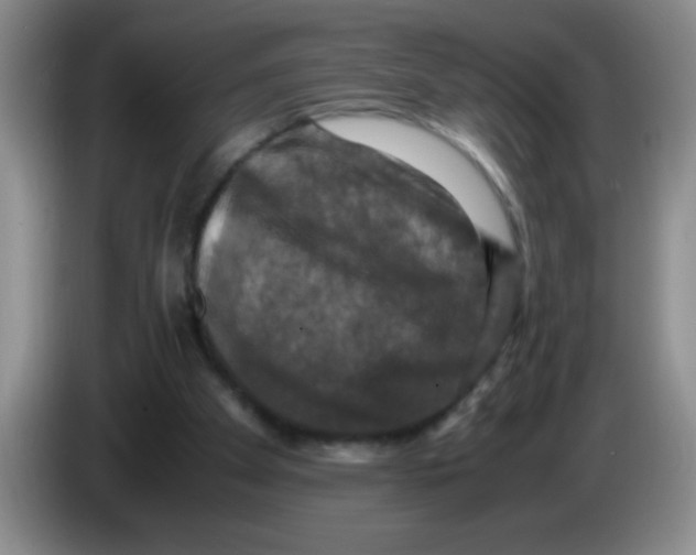 X0000083560105200703091625