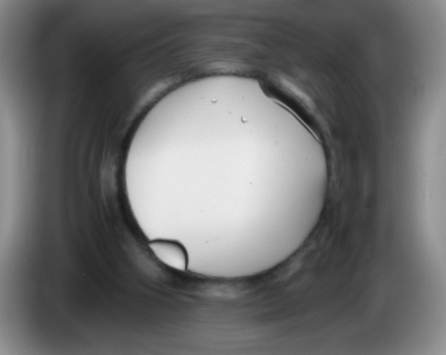 X0000083560106200703091625