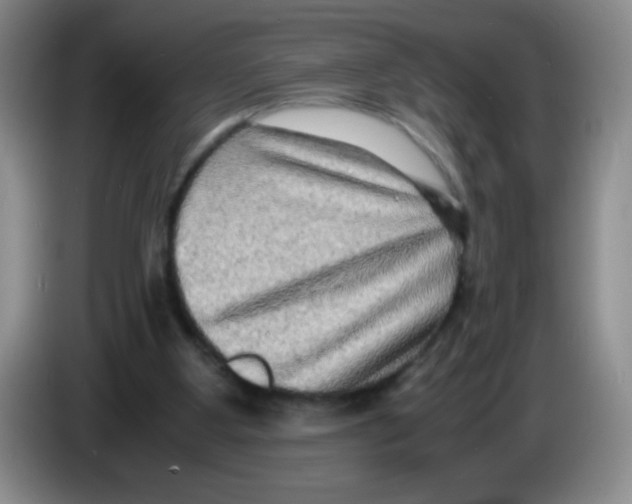 X0000083560107200703091625