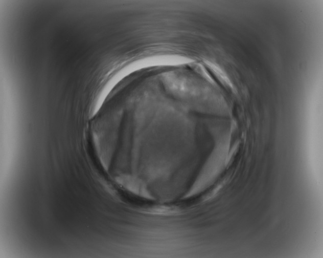 X0000083560109200703091625