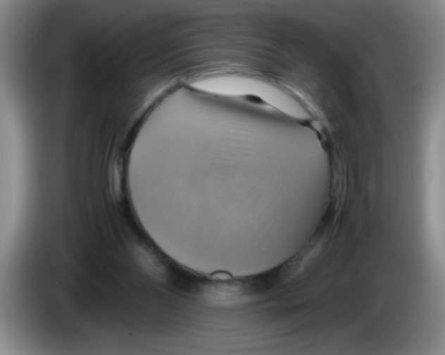 X0000083560110200703091625