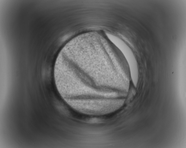 X0000083560111200703091625