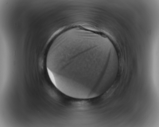 X0000083560112200703091625