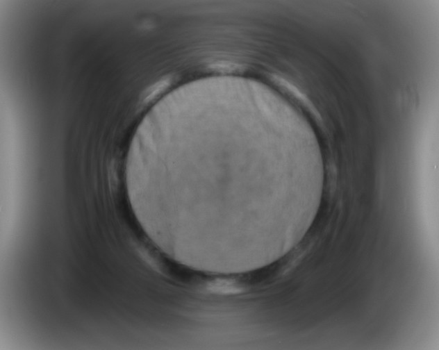 X0000083560114200703091625