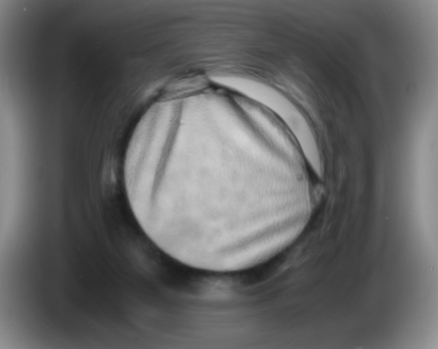 X0000083560115200703091625