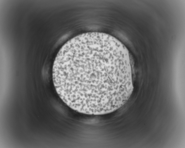X0000083560116200703091625