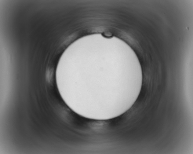 X0000083560118200703091625