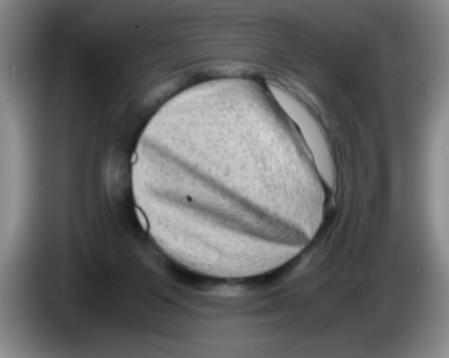 X0000083560119200703091625