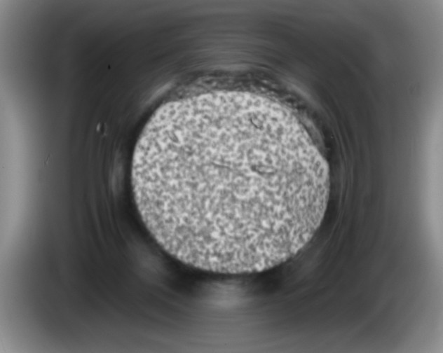 X0000083560120200703091625
