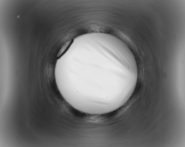 X0000083560121200703091625