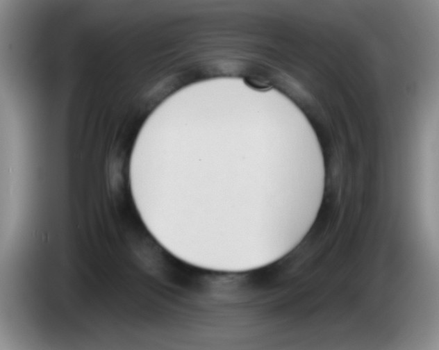 X0000083560122200703091625