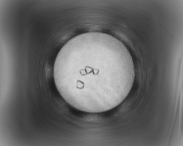 X0000083560123200703091625