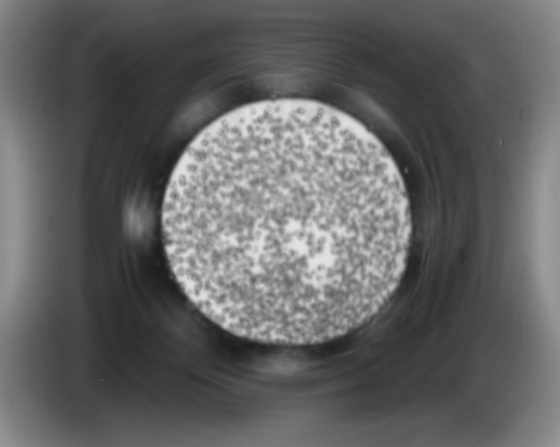 X0000083560124200703091624
