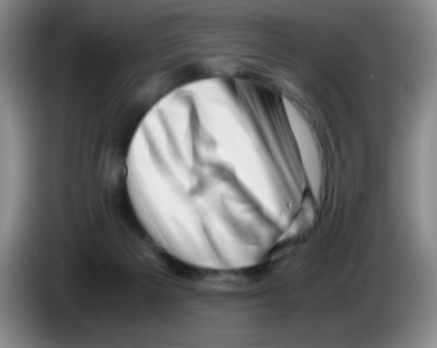 X0000083560125200703091624