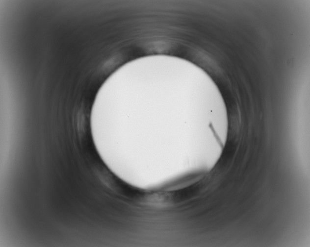 X0000083560126200703091624