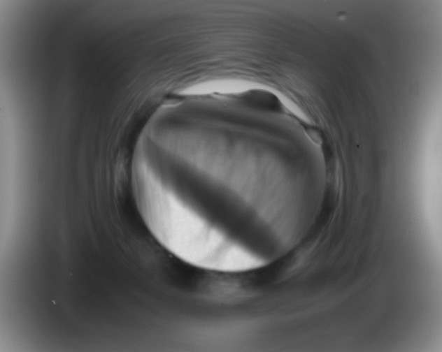 X0000083560127200703091624