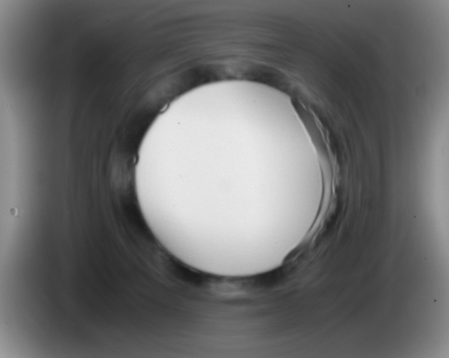 X0000083560129200703091624