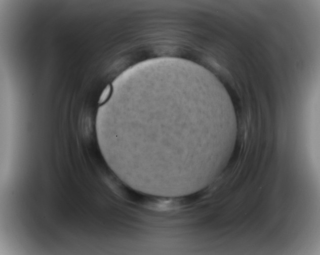 X0000083560130200703091624