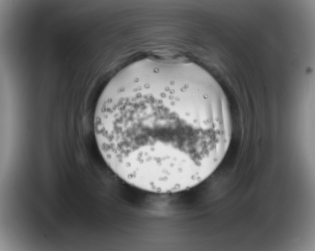 X0000083560131200703091624