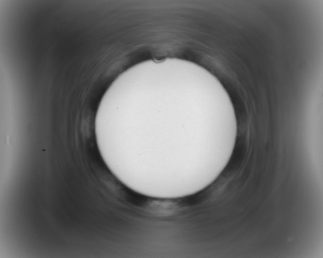 X0000083560133200703091624