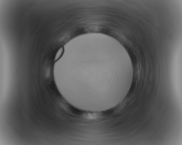 X0000083560134200703091624