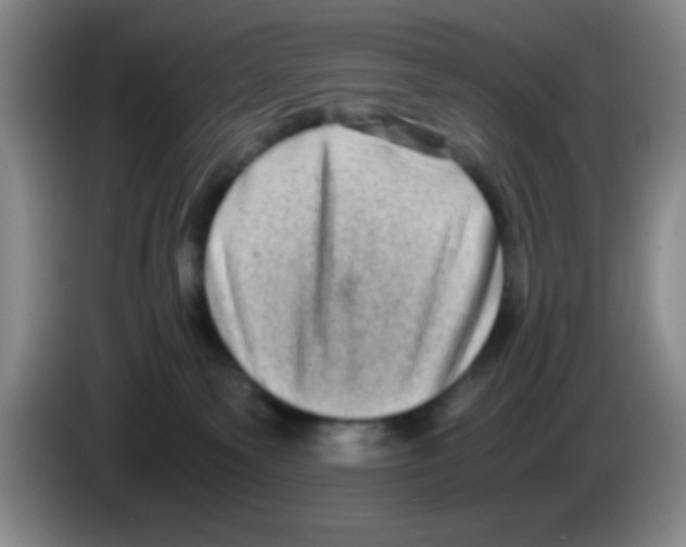 X0000083560135200703091624