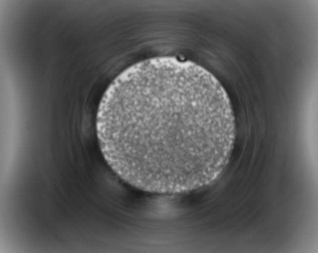 X0000083560136200703091624