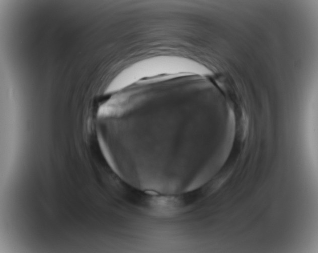 X0000083560137200703091624